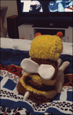 tumblr_nkto9iCu5Y1t0cscho1_250
