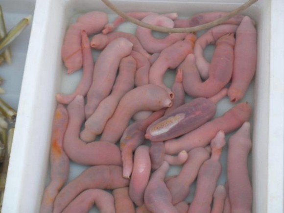 a6b286b30d47f3232b7cb941593bc9e3