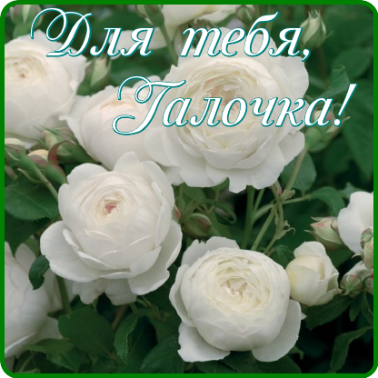 5r85HdV2o1Ar