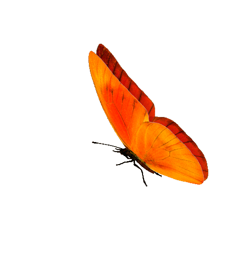 0_ae770_83ce3f8c_orig