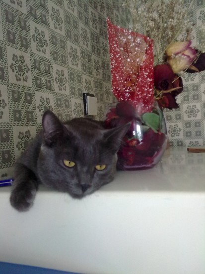 Ещё бы уметь его открывать  (на холодильнике)