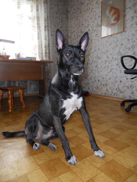 DSCN9820