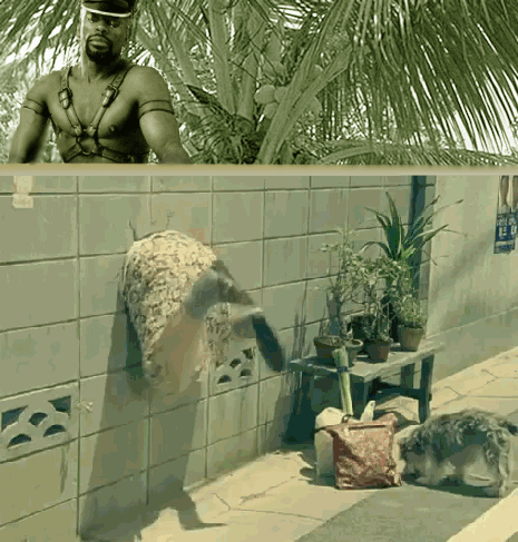 84948_original_yapfiles.ru