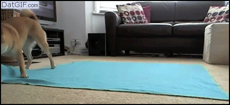 1427866570_gifs_05