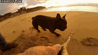 1427866620_gifs_06