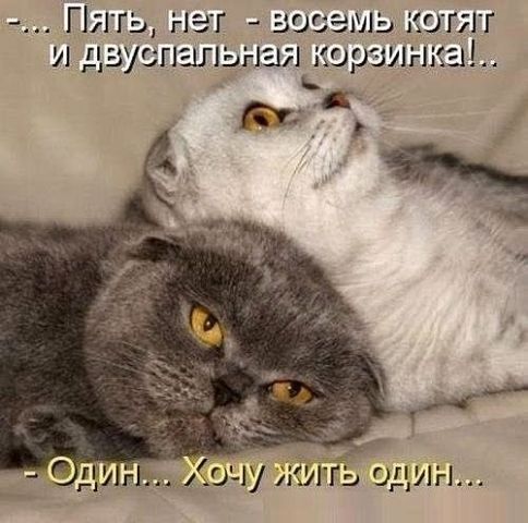 getImage