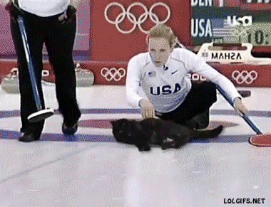 1428039422_gifs_11