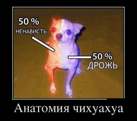 20132706235109