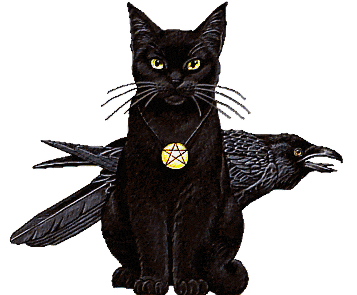 BlackStarcat