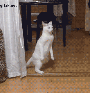 tumblr_ndh2ii0M3H1s2yegdo1_400_yapfiles.ru