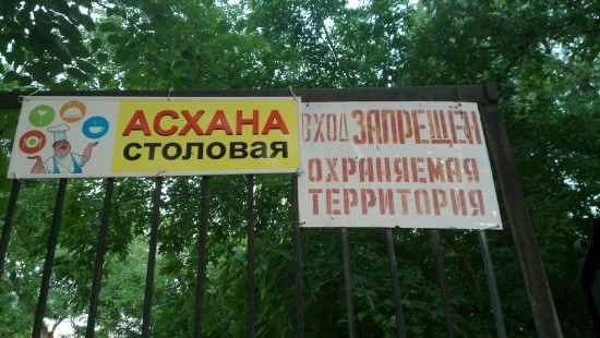 20100729_014_новый размер