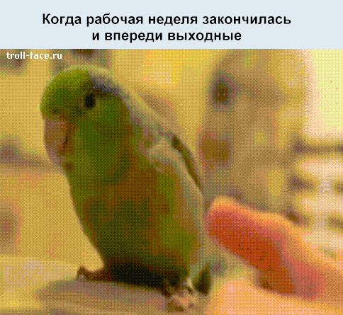 1429253249_563215581