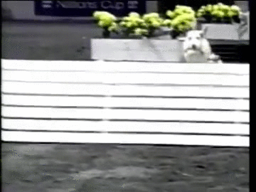 9623e0e43e581399724c66569fece79b13e581e7b18c8362d7ecdc80d69f3b71_1