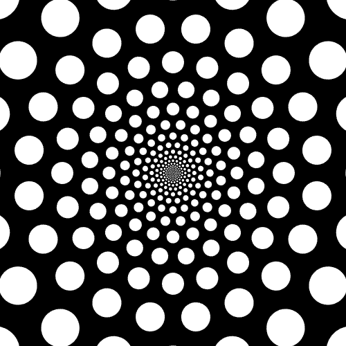 motion-dave-whyte-15