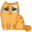 64