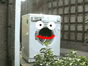 c790f220bed8231d2fcd9f89882ea6b9