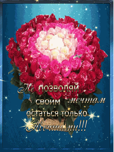цветы