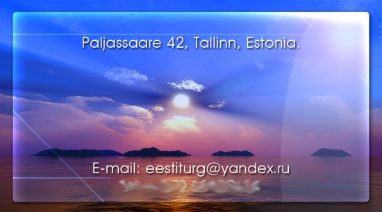 vizitka