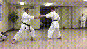 1431169847_1714832626