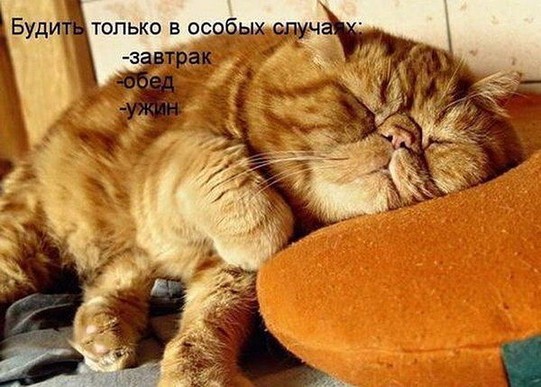 getImage
