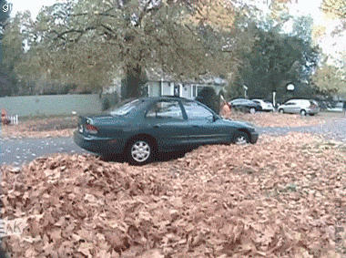 a8eff290b174a10bdd86a674fb8d6ca8529323491ff0c1.98973200