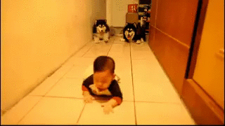 childdogs