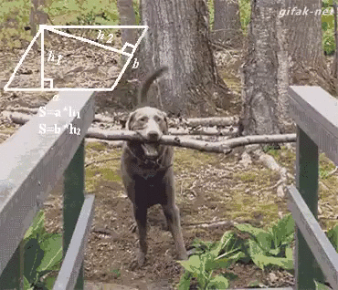 dognstick