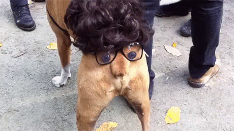 assnose