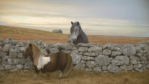 gifs_11 (1)