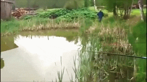 gifs_01