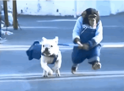 gifs_09