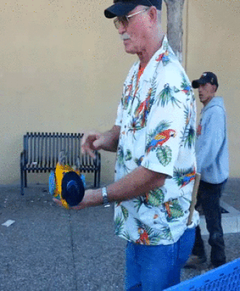 gifs_11
