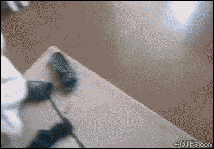 tumblr_npgbgzRCs31tlb56zo1_400