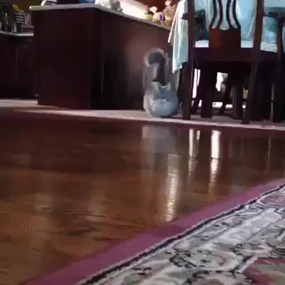 Hlddbws