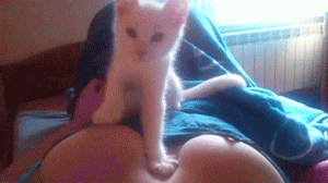 tumblr_my4y0cmrsF1qljj91o1_400