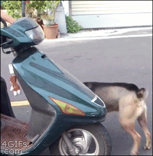007_Acid Gifdump, February 27, 2015 (25 gifs)