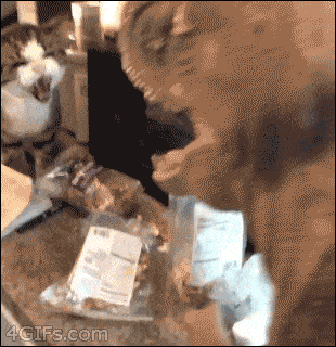 gifki_04_yapfiles_ru
