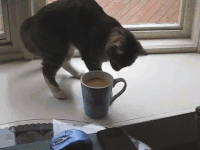 gifs_07 (3)