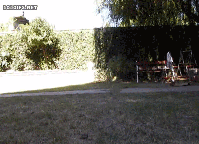 gifs_23 (3)