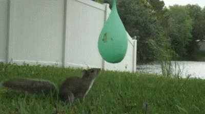 849df0805752e9b61c208da1324