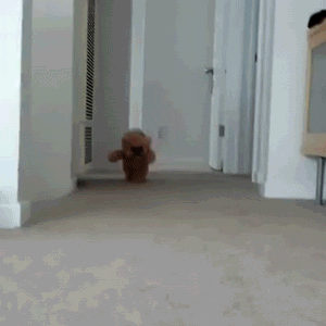 72c0855293c3c7dd805ad783165