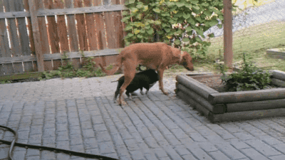 tumblr_nq04z0ctLC1s02vreo2_400