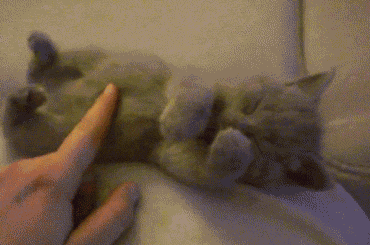 new_funny_gif_19