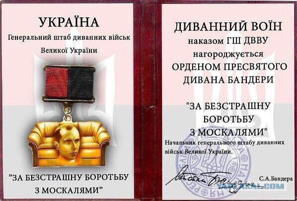 воин 404