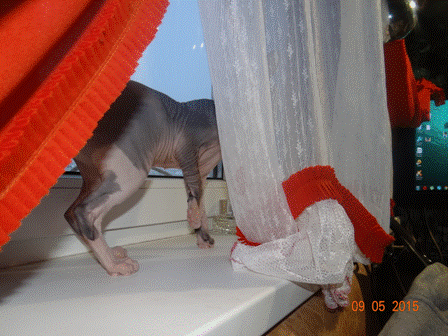 DSC01096