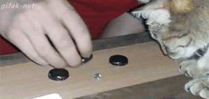 tumblr_nqwn9uOitg1t95h1uo1_400