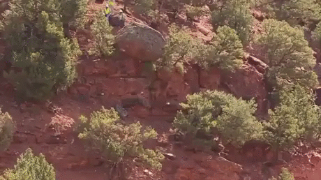 Look_out_below_-_9GAG-agNVgvr_460sv