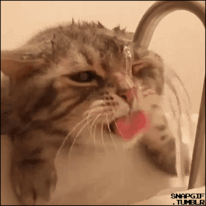 -гифки-вода-кран-2242672