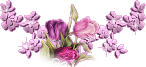 57548842_tulipbar3