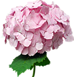 0_c141b_50afbaec_S